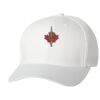 Wooly 6-Panel Cap Thumbnail