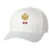 Wooly 6-Panel Cap Thumbnail