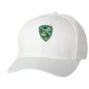 Wooly 6-Panel Cap Thumbnail