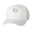 Wooly 6-Panel Cap Thumbnail