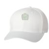 Wooly 6-Panel Cap Thumbnail