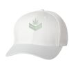 Wooly 6-Panel Cap Thumbnail