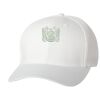Wooly 6-Panel Cap Thumbnail
