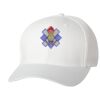 Wooly 6-Panel Cap Thumbnail