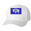 Wooly 6-Panel Cap Thumbnail