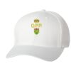 Wooly 6-Panel Cap Thumbnail
