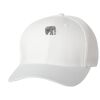 Wooly 6-Panel Cap Thumbnail