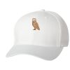 Wooly 6-Panel Cap Thumbnail