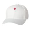 Wooly 6-Panel Cap Thumbnail