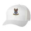 Wooly 6-Panel Cap Thumbnail