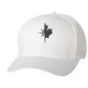 Wooly 6-Panel Cap Thumbnail