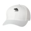 Wooly 6-Panel Cap Thumbnail
