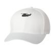 Wooly 6-Panel Cap Thumbnail