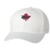 Wooly 6-Panel Cap Thumbnail