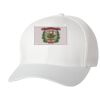 Wooly 6-Panel Cap Thumbnail