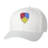 Wooly 6-Panel Cap Thumbnail