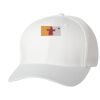 Wooly 6-Panel Cap Thumbnail