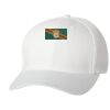 Wooly 6-Panel Cap Thumbnail