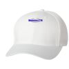 Wooly 6-Panel Cap Thumbnail