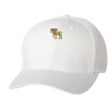 Wooly 6-Panel Cap Thumbnail