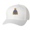 Wooly 6-Panel Cap Thumbnail