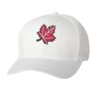 Wooly 6-Panel Cap Thumbnail