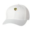 Wooly 6-Panel Cap Thumbnail