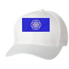 Wooly 6-Panel Cap Thumbnail