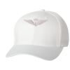 Wooly 6-Panel Cap Thumbnail