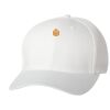 Wooly 6-Panel Cap Thumbnail
