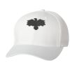 Wooly 6-Panel Cap Thumbnail
