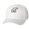 Wooly 6-Panel Cap Thumbnail