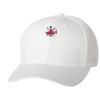 Wooly 6-Panel Cap Thumbnail