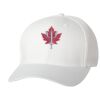 Wooly 6-Panel Cap Thumbnail