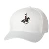 Wooly 6-Panel Cap Thumbnail