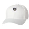 Wooly 6-Panel Cap Thumbnail