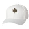 Wooly 6-Panel Cap Thumbnail