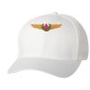 Wooly 6-Panel Cap Thumbnail