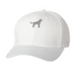 Wooly 6-Panel Cap Thumbnail