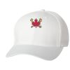 Wooly 6-Panel Cap Thumbnail