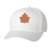 Wooly 6-Panel Cap Thumbnail