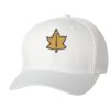 Wooly 6-Panel Cap Thumbnail