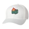 Wooly 6-Panel Cap Thumbnail