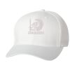 Wooly 6-Panel Cap Thumbnail
