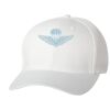 Wooly 6-Panel Cap Thumbnail