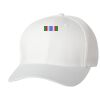 Wooly 6-Panel Cap Thumbnail
