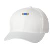Wooly 6-Panel Cap Thumbnail