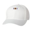 Wooly 6-Panel Cap Thumbnail