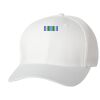 Wooly 6-Panel Cap Thumbnail