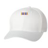 Wooly 6-Panel Cap Thumbnail